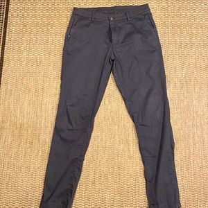 Birddog boom for your broom stick